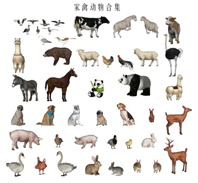 poultry animal animal combination chicken duck goose dog rabbit donkey deer alpaca cow panda