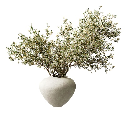 Green Plant Ornaments Dried Flower Stone Vase Ceramic Vase Indoor Green Plant Outdoor Green Plant Decoration