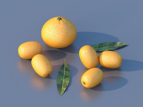 orange citrus fruit food