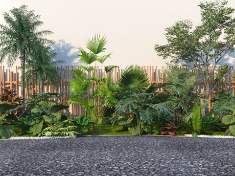 Modern tropical plant landscaping