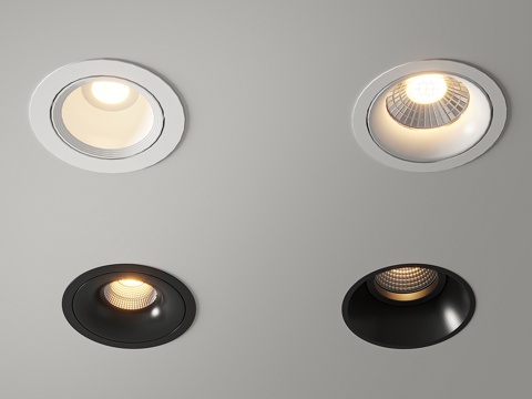 Modern Downlight