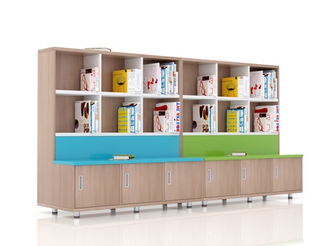 Bookcase in library