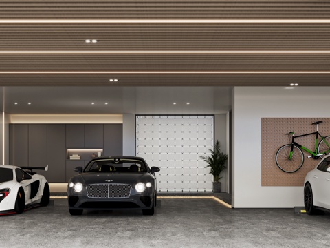 Modern Villa Garage