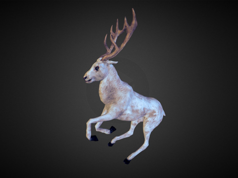 animal white deer