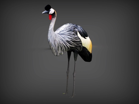 Crane Crane Crane Crowned Crane Sculpture Feather Sculpture