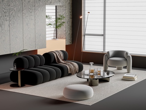 Modern sofa coffee table combination