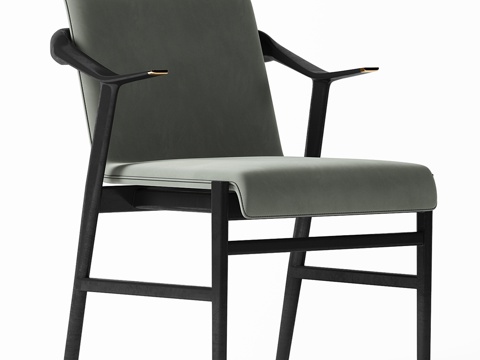 Modern Chair dining chair