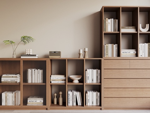 Modern bookcase