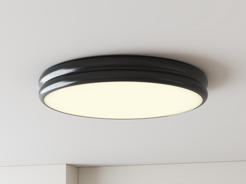 Modern minimalist ceiling lamp