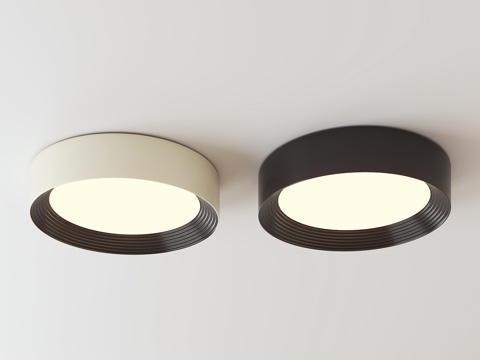 Modern minimalist ceiling lamp