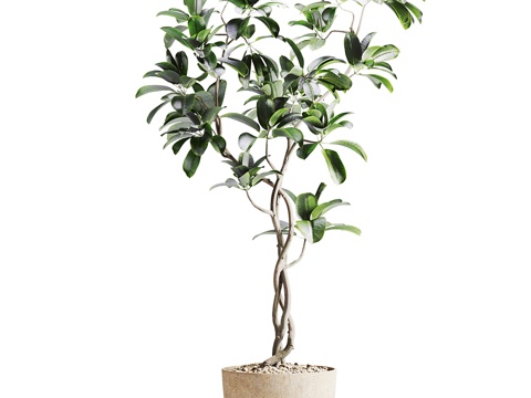 Neo-Chinese Style Ji Banyan Tree Potted Plant