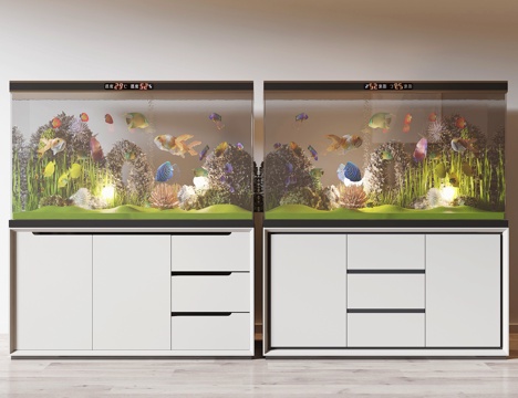 Modern fish tank