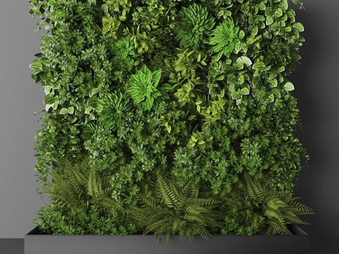 plant wall green plant wall