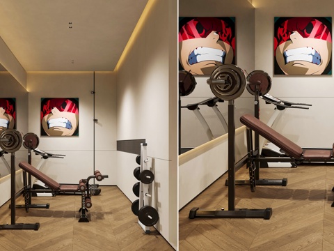 Modern Home Gym Indoor Fitness Corner Small Gym Indoor Home Fitness Room