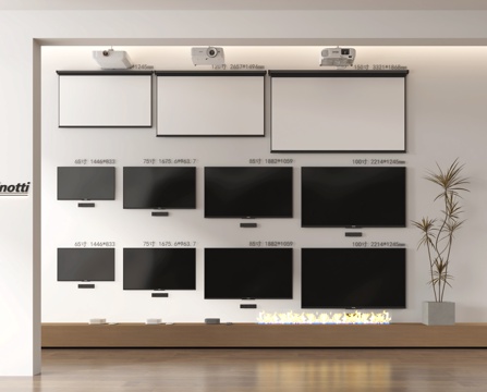 Projector Curtain TV