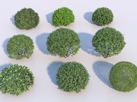 Modern spherical shrub assemblage