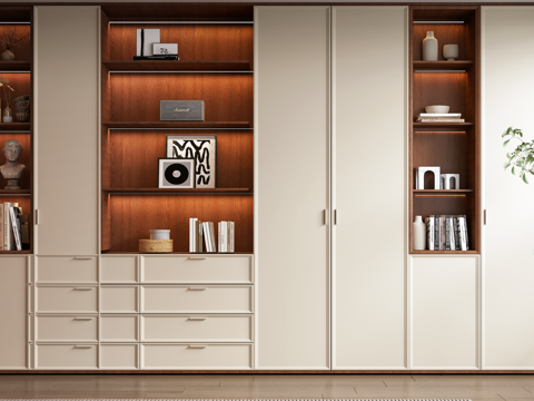 Modern Mid-century Style Bookcase