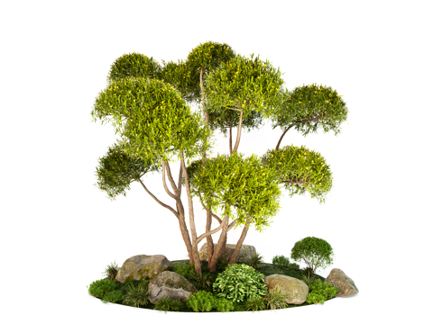 Garden Landscape tree multi-head modeling tree stone cover trees