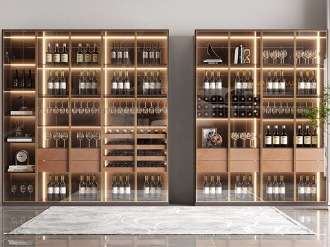 Modern wine cabinet with full glass door