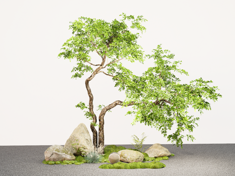 Garden Landscape tree shape oblique floating tree trees micro terrain stone