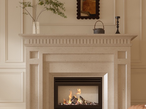 Fireplace French Fireplace European Fireplace American Fireplace