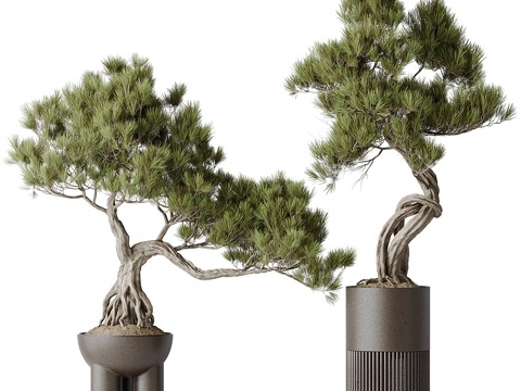 Neo-Chinese Style Welcome Pine Bonsai