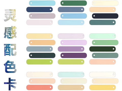 Modern Color Card Palette