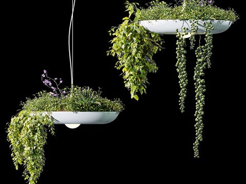 Chandelier Flower Pot