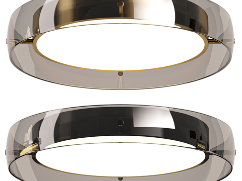 Modern minimalist ceiling lamp