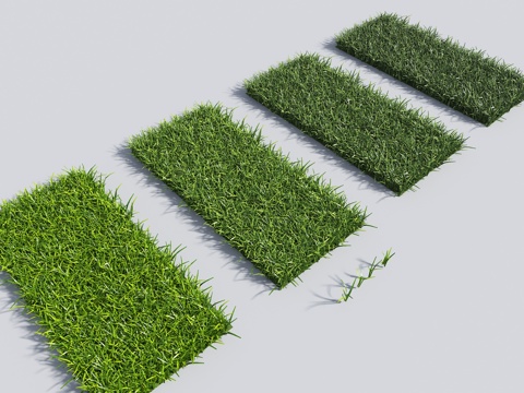 Modern Lawn Grass Weeds Weeds Plant Vegetation