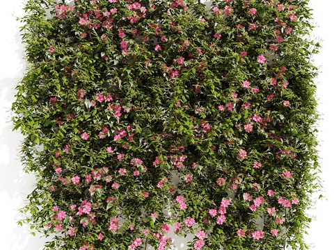 Green Wall Garden