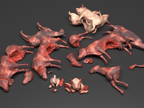 slaughterhouse animal carcasses