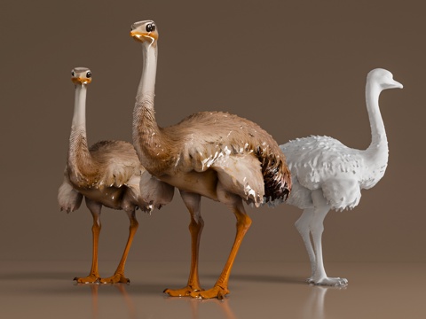 Ostrich terrestrial biological specimens show animal games cartoon sculpture scene atmosphere