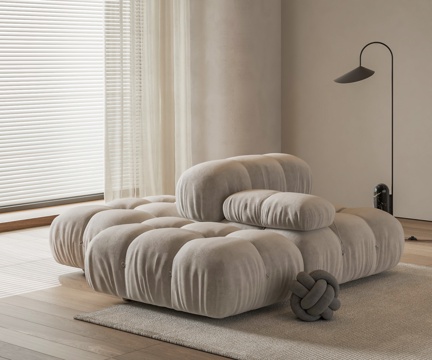 B & BItalia chameleon sofa sofa module sofa