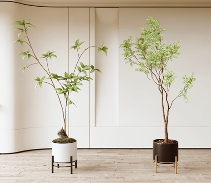 modern green plant