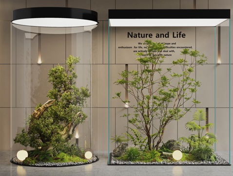 Indoor Landscape Landscape Landscape Tree Plant Pile Plant Landscape Courtyard