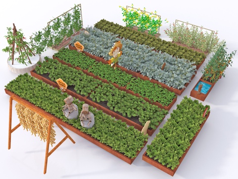 Vegetable field