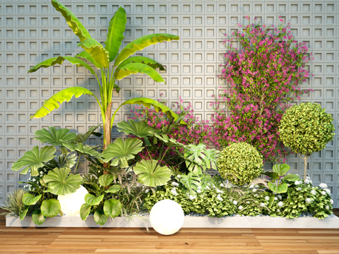 plant combination green plant pile plant flower box potted plant