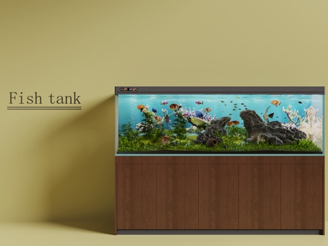 Modern fish tank