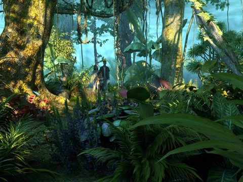 forest tropical rainforest subtropical forest primeval forest feeding fly flower
