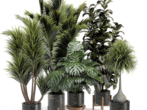 Modern Green Plant Potted Plant