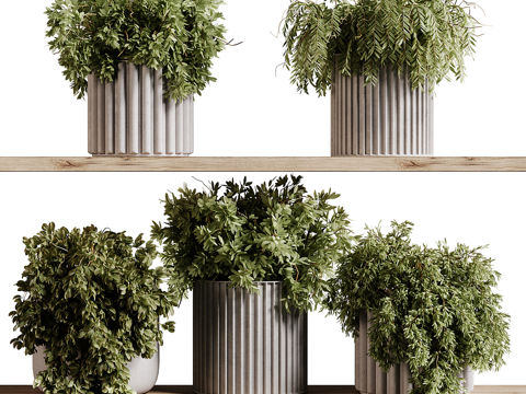 Modern Green Plant Hanging Basket