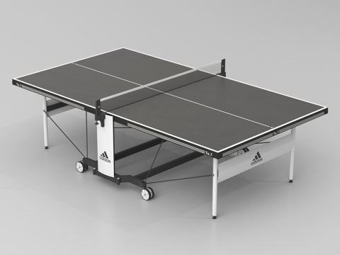 table tennis table