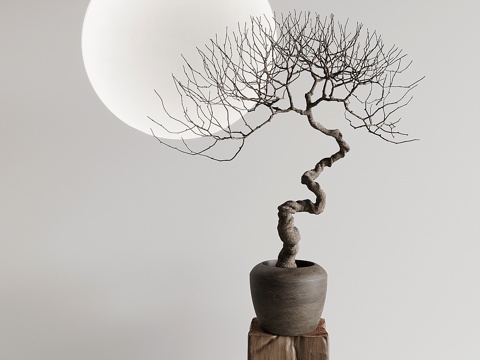 Bonsai Neo-Chinese Style Bonsai with Dry Branches and Green Plant