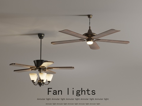 French fan lamp