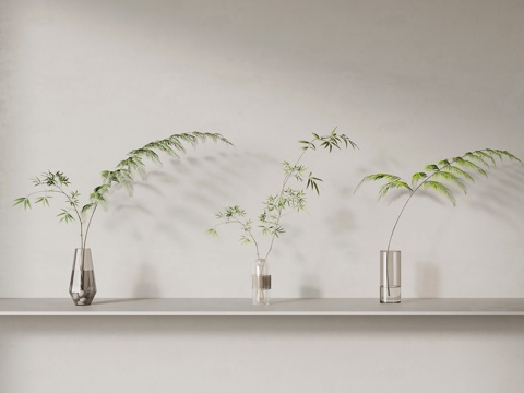 Green Plant Modern Green Plant Desktop Green Plant Aquatic Plant