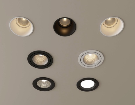 Spotlight Downlight