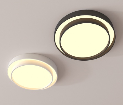 Ceiling lamp lighting lamp indoor lamp