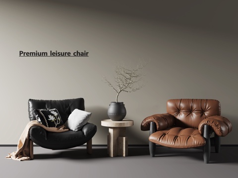 Antique Leather Casual Chair Side Ornaments