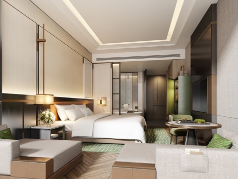 Modern Luxury Hotel Room King Suite